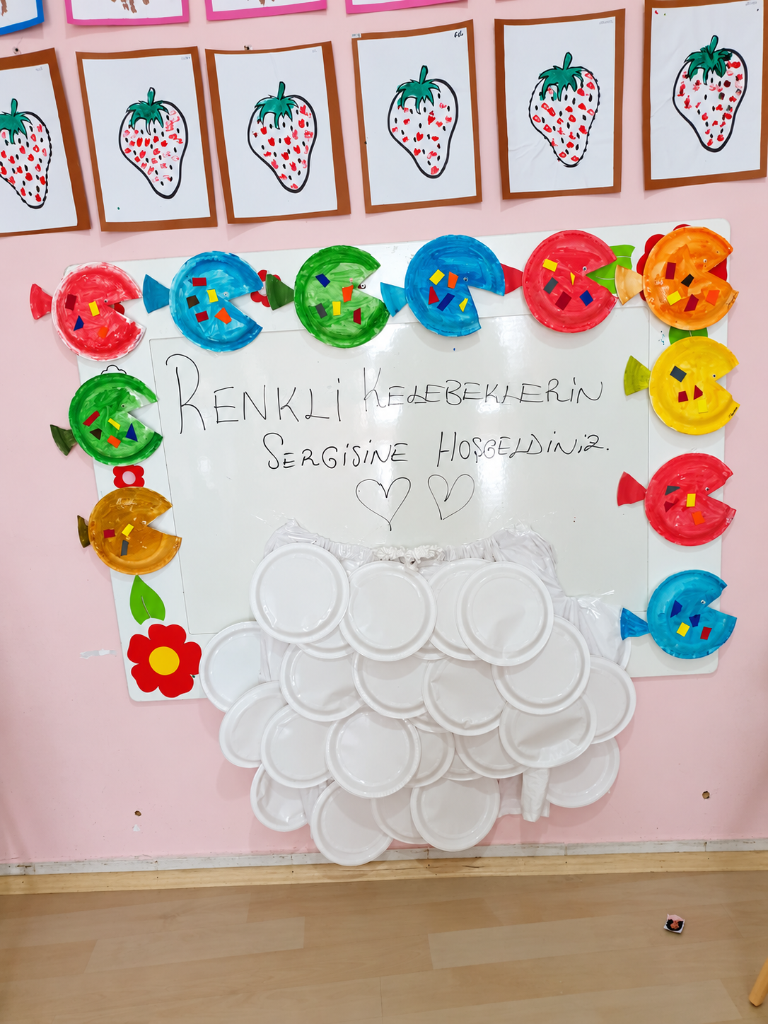 Renkli Kelebekler Sergisi
